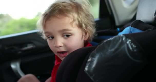 Child Toddler Backseat Car — Stockvideo
