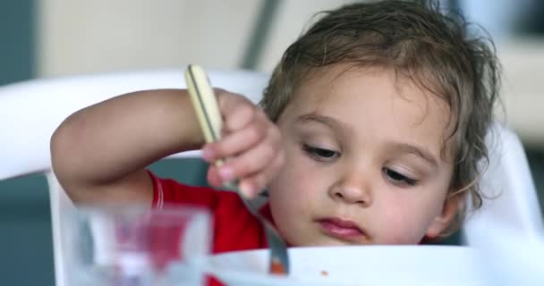 Baby Boy Dinner Table Holding Fork Eating Supper — Video