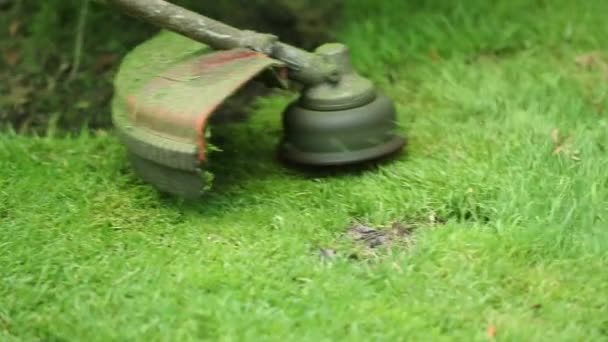 Cutting Lawn Machine Trimming Grass Mower — Stockvideo