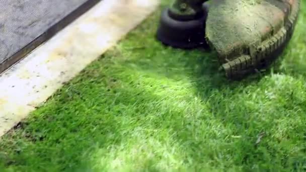 Cutting Grass Mower Machine Trimming Garden — Wideo stockowe