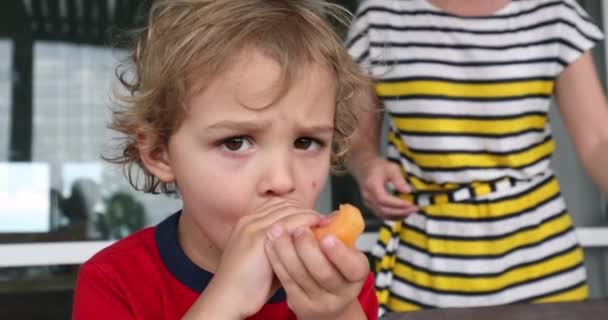 Child Boy Eating Melon Fruit — Stockvideo