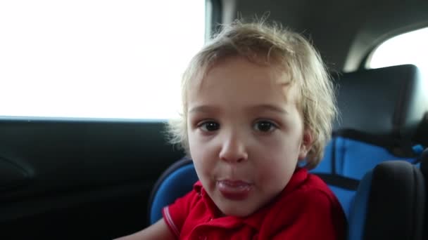 Toddler Boy Back Seat Car — Stock video