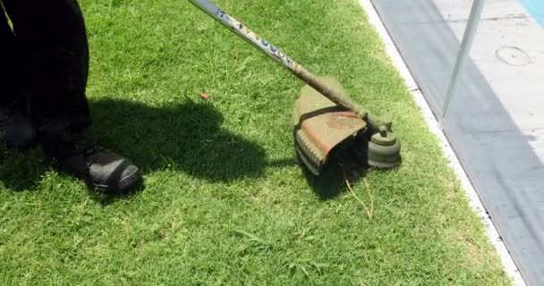 Cutting Grass Machine Worker Trimming Garden Mower — Vídeo de Stock