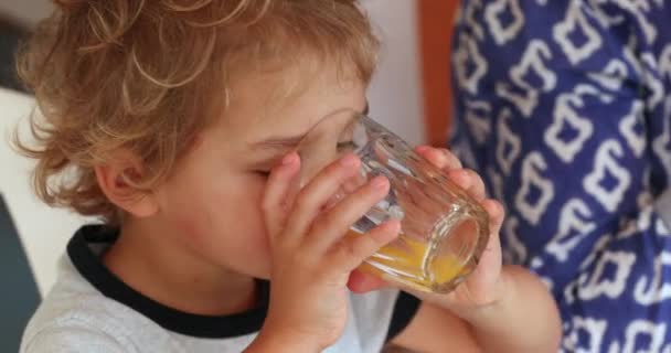 Child Boy Drinking Orange Juice — Video