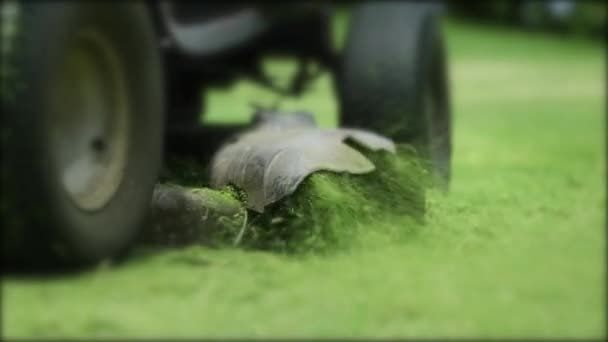 Mowing Lawn Machine — Stockvideo