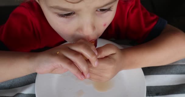 Child Toddler Boy Eating Melon Fruit — Vídeos de Stock