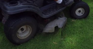 Cutting grass with professional lawn mower machine, worker trimming garden