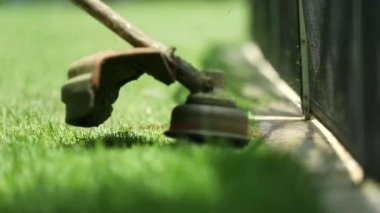 Cutting lawn with machine, trimming grass with mower