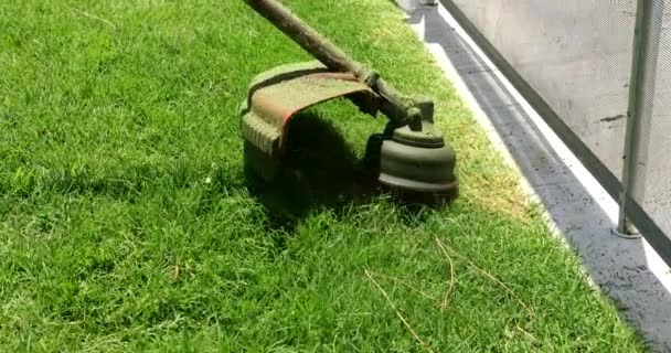 Cutting Grass Machine Worker Trimming Garden Mower — Vídeo de stock