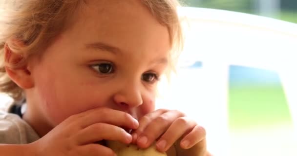 Toddler Child Eating Pancake Breakfast — Vídeos de Stock