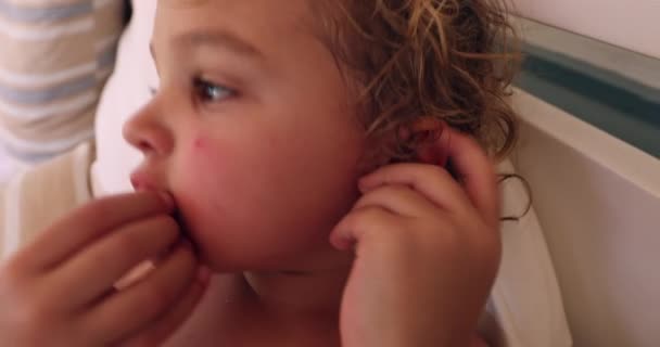Portrait Baby Boy Seated Sofa Chewing Getting — Vídeos de Stock