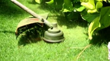 Trimming lawn with machine