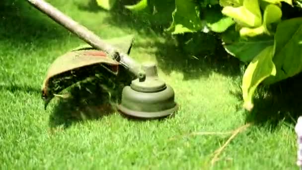 Trimming Lawn Machine — Stockvideo