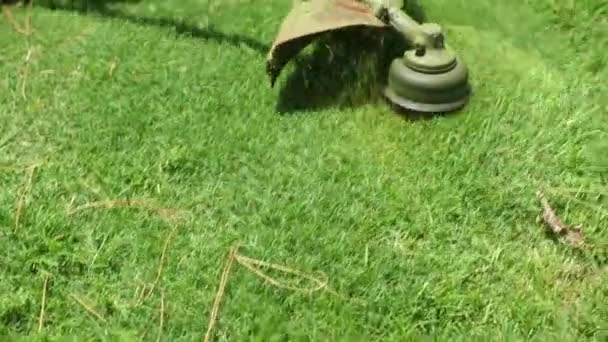 Cutting Grass Machine — Vídeos de Stock