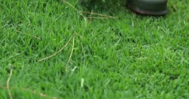 Обрізання Трави Машиною Обрізка Робочого Саду Косаркою — стокове відео