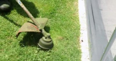 Cutting grass with machine, worker trimming garden with mower
