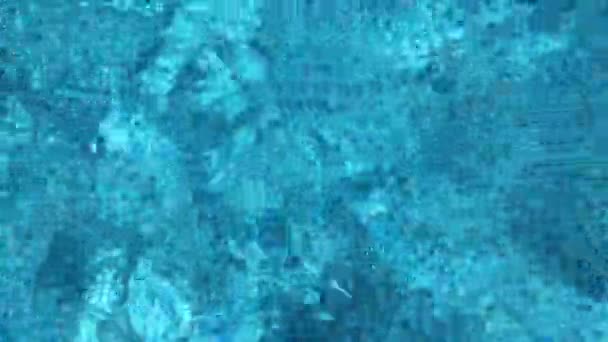 Surface Swimming Pool Water — Video Stock