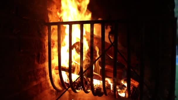 Fire Wood Burning Backyard Grill — Wideo stockowe