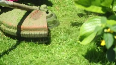 Trimming lawn with machine