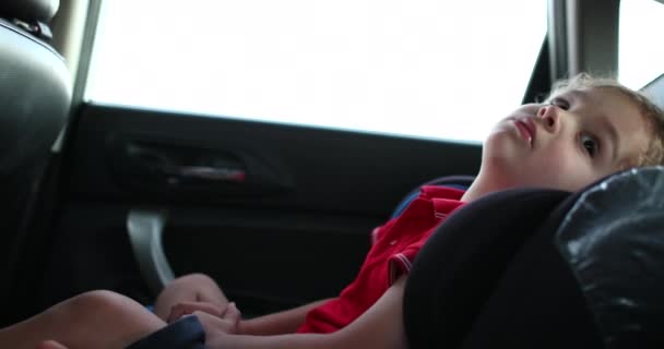 Baby Backseat Car — Stockvideo