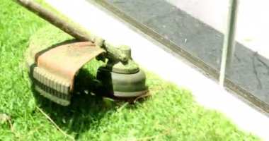 Cutting grass with machine, worker trimming garden with mower