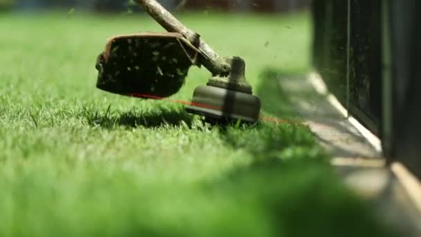 Cutting Lawn Machine Trimming Grass Mower — Vídeo de stock