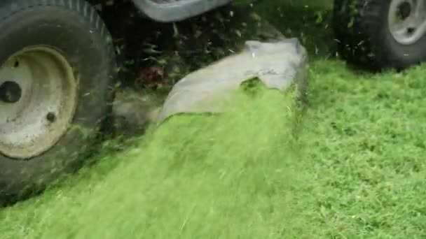 Mowing Lawn Machine — ストック動画