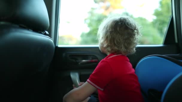 Toddler Looking Out Car Window Baby Seated Car Backseat — Stok video