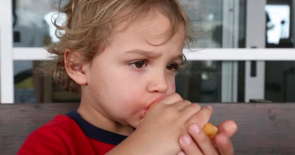 Toddler Boy Eating Melon Fruit — Stok video