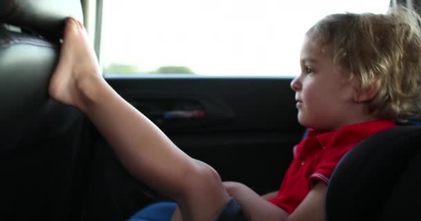 Toddler Backseat Car Road — Vídeo de Stock