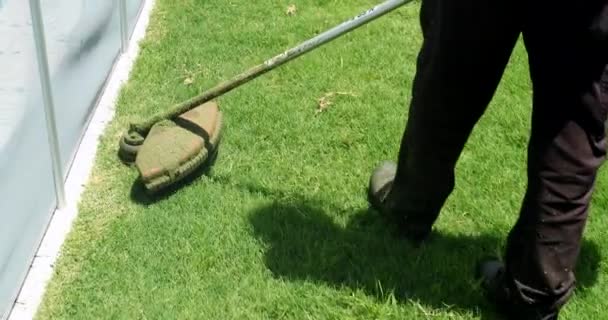 Cutting Grass Machine Worker Trimming Garden Mower — Vídeo de Stock