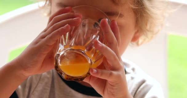 Child Boy Drinking Orange Juice — Vídeos de Stock