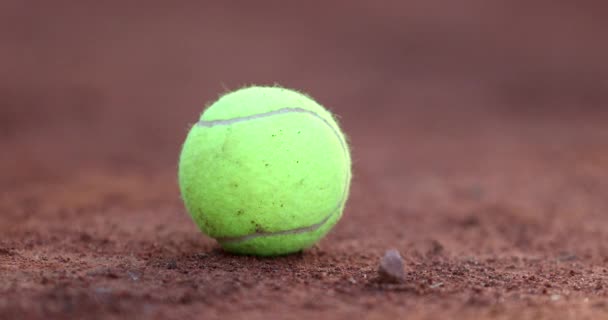 Tennisboll Marken — Stockvideo