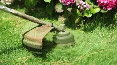 Trimming lawn with machine