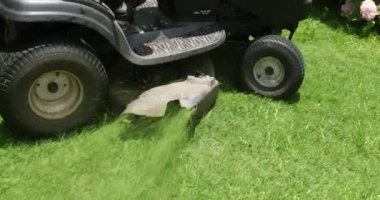 Cutting grass with professional lawn mower machine, worker trimming garden