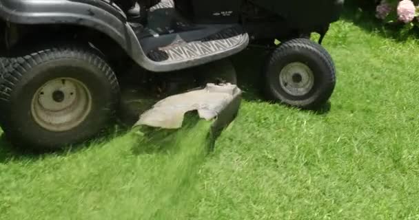 Cutting Grass Professional Lawn Mower Machine Worker Trimming Garden — Video Stock