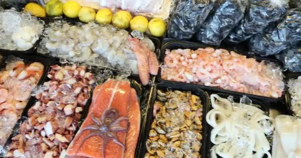 Seafood Display Market — 비디오