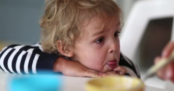 Cute Baby Boy Toddler Portrait Table — Vídeo de Stock