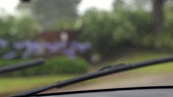 Wipers Clearing Rain Slow Motion — Vídeos de Stock