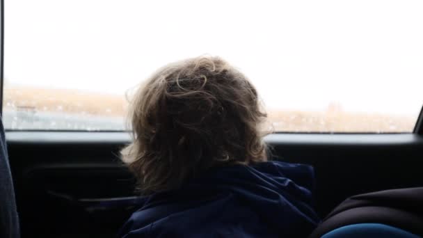 Little Boy Looks Out Cat Window — Vídeos de Stock