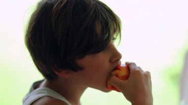 Young boy eats peach fruit. Child taking a bite of food