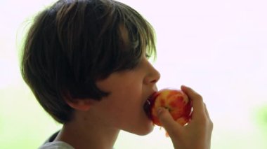 Profile of child boy eating eating peach fruit