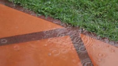 Raindrops falling in slow-motion 120fps