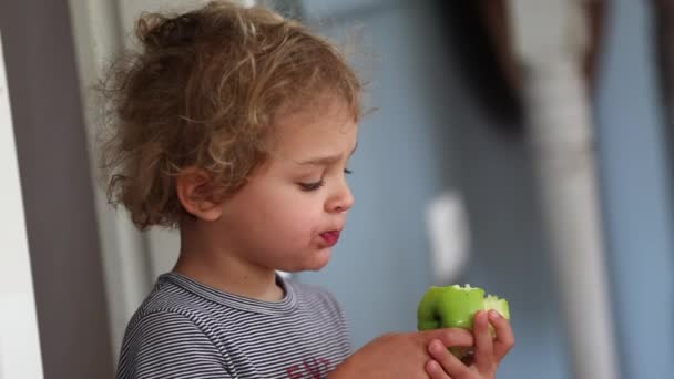Bebé Comiendo Manzana — Vídeo de stock