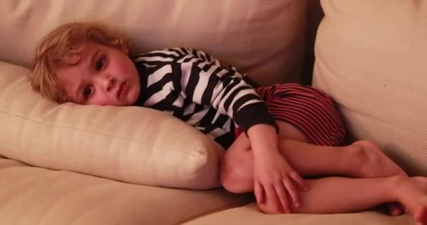 Candid Child Watching Screen While Laid Living Room Sofa — Wideo stockowe
