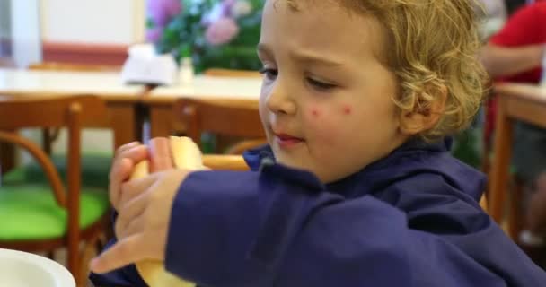 Child Eating Hot Dog Candid Little Boy Taking Bite Hot — Stok video
