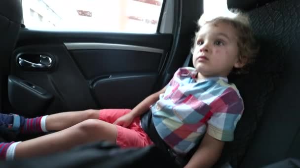 Little Boy Back Seat Car — Vídeo de stock