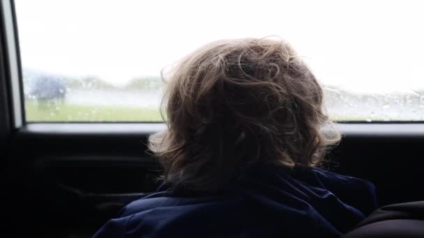 Little Boy Backseat Car Road Dreaming Looking Out Window — Vídeo de stock