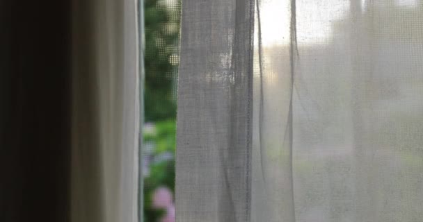 朝外看的窗帘 — 图库视频影像