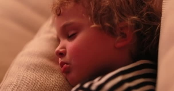 Child Asleep Living Room Sofa Deep Sleep — Vídeos de Stock